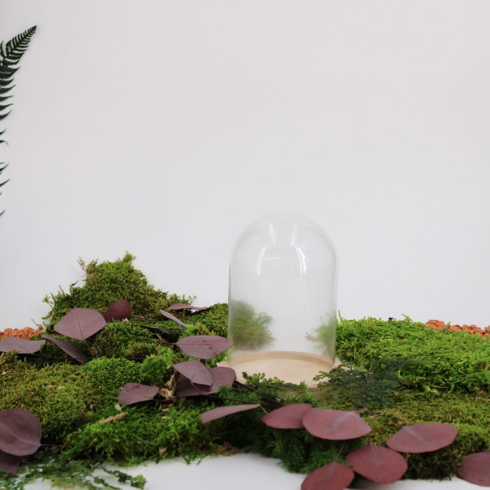 Cloche en verre support bois petite taille