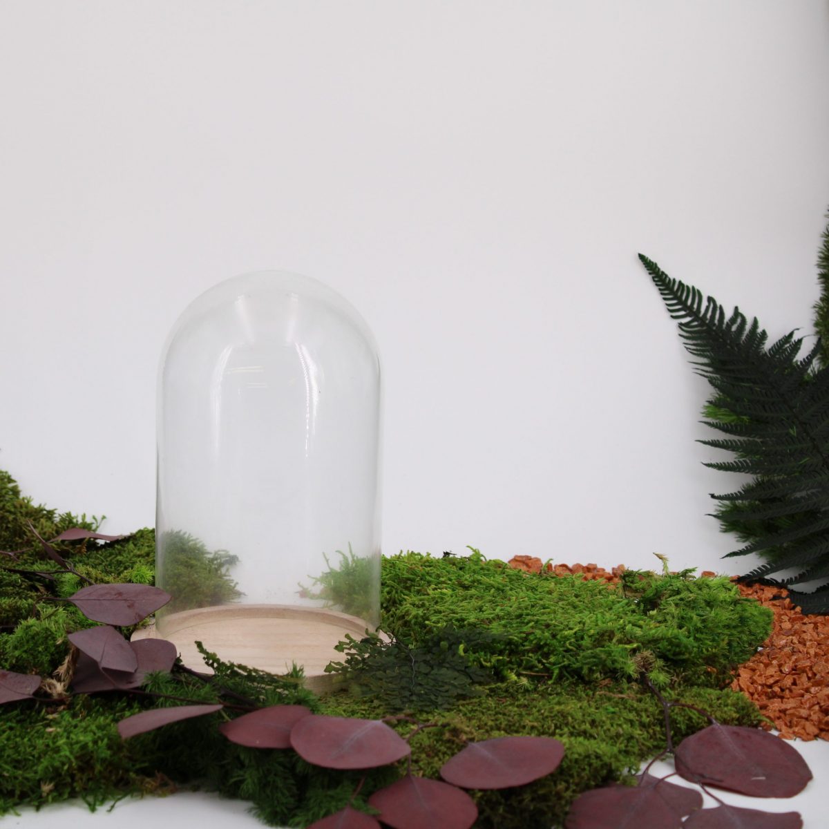 Cloche en verre support bois taille moyenne