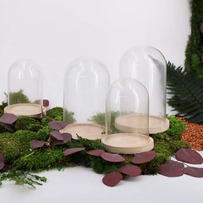 Cloche en verre support bois petite taille – Image 4