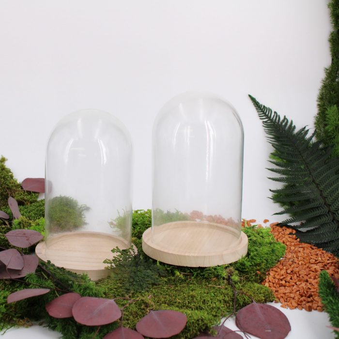 Cloche en verre support bois petite taille – Image 2