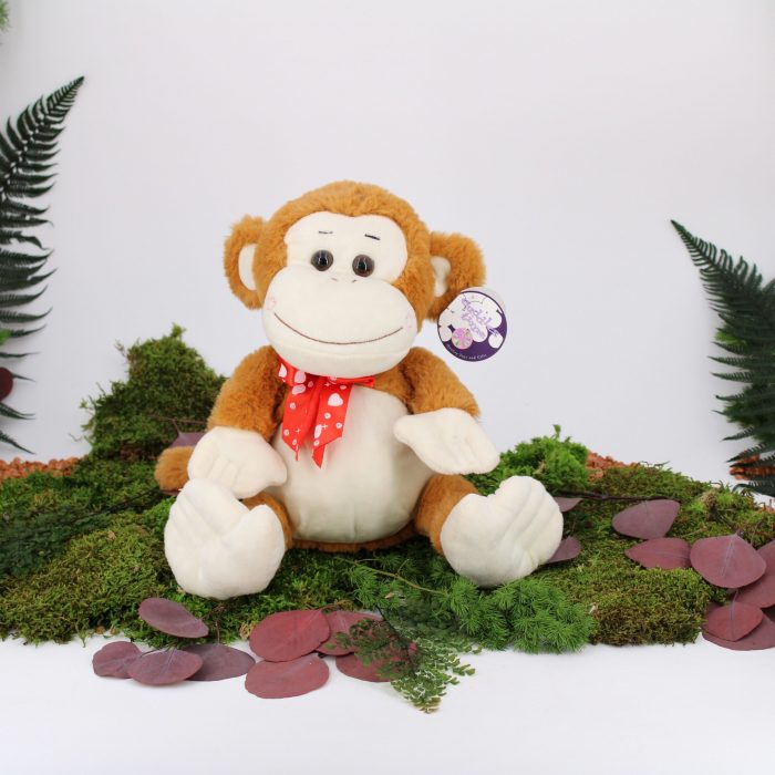 Peluche Singe Brun