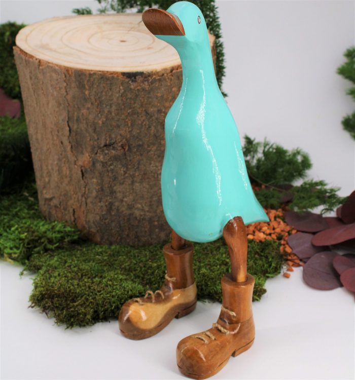 Canard bleu T1 – Image 2