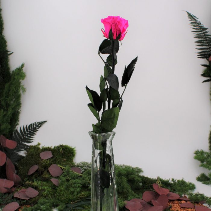 Rose stabilisée éternelle Bright Pink tige 50 cm – Image 2