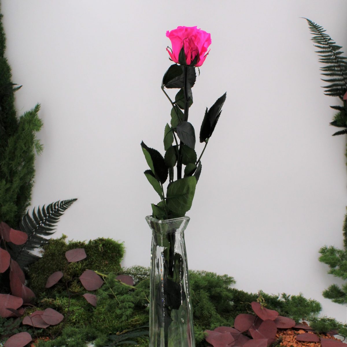 Rose stabilisée éternelle Bright Pink tige 50 cm – Image 2