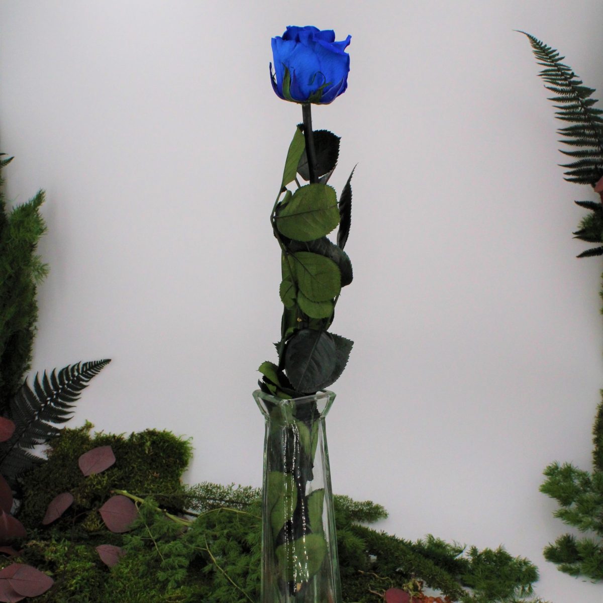 Rose stabilisée éternelle Bleu tige 50 cm – Image 2