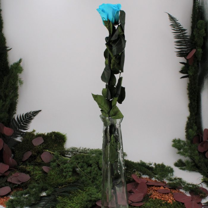 Rose stabilisée éternelle Bleu Turquoise tige 50 cm – Image 2