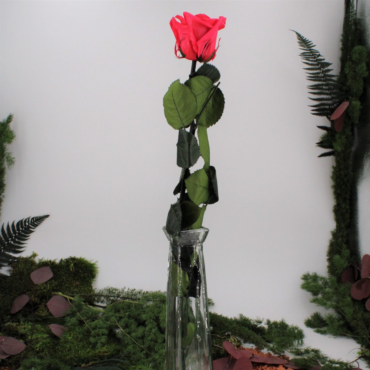 Rose stabilisée éternelle Fuchsia tige 50 cm – Image 2