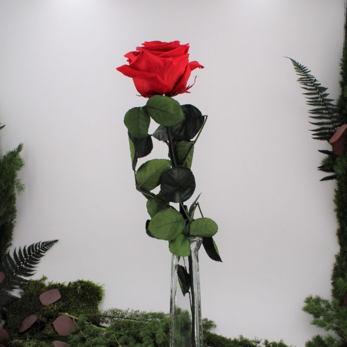 Rose stabilisée éternelle Rose Rouge gros bouton 50 cm – Image 2