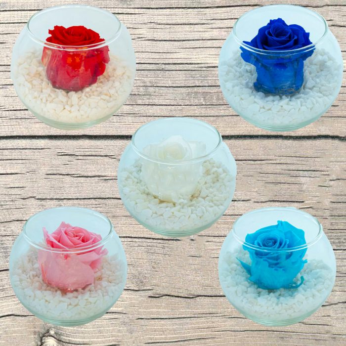 Bouton de rose éternelle Rouge gravier blanc. – Image 2