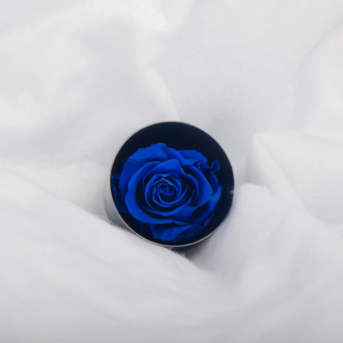 #rose éternelle# bouton bleu
