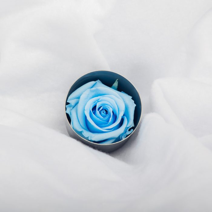 #rose éternelle# bouton bleu ciel