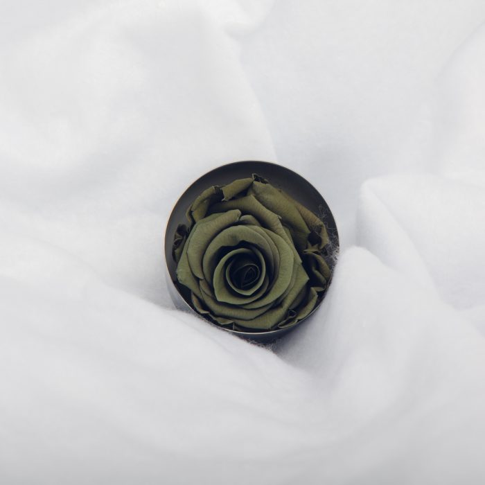 #rose éternelle# bouton gris