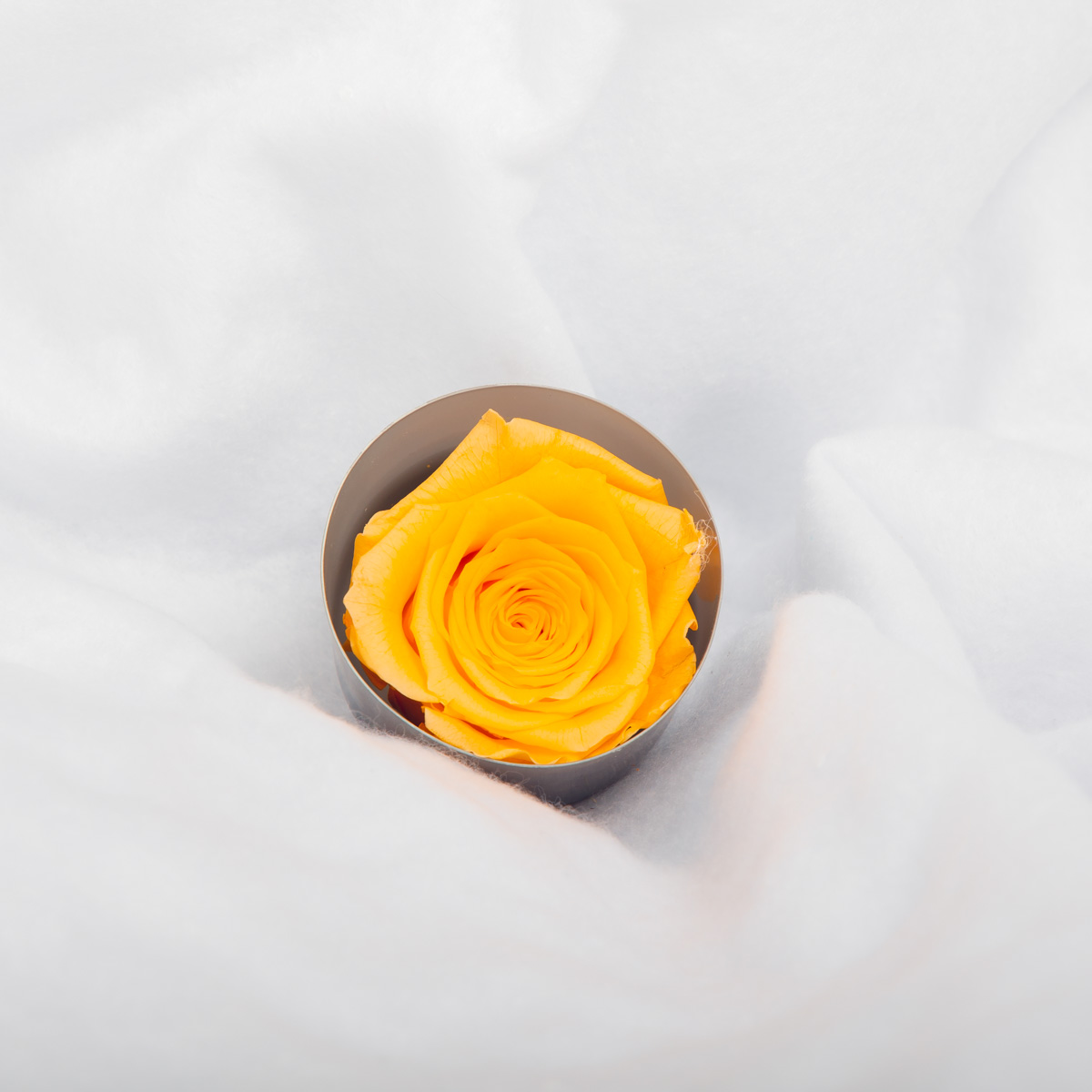 #rose éternelle# bouton jaune