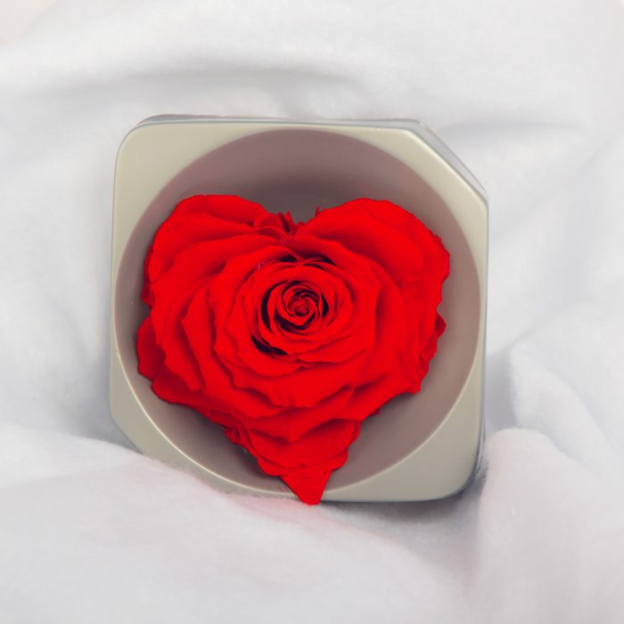 #rose éternelle# bouton forme cœur rouge