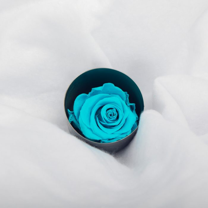 #rose éternelle# bouton turquoise