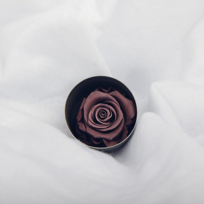 #rose éternelle# bouton violet