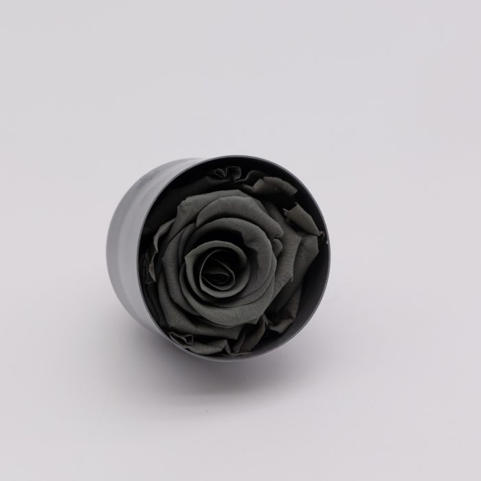 #rose éternelle# bouton gris – Image 2