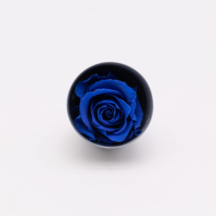 #rose éternelle# bouton bleu – Image 2