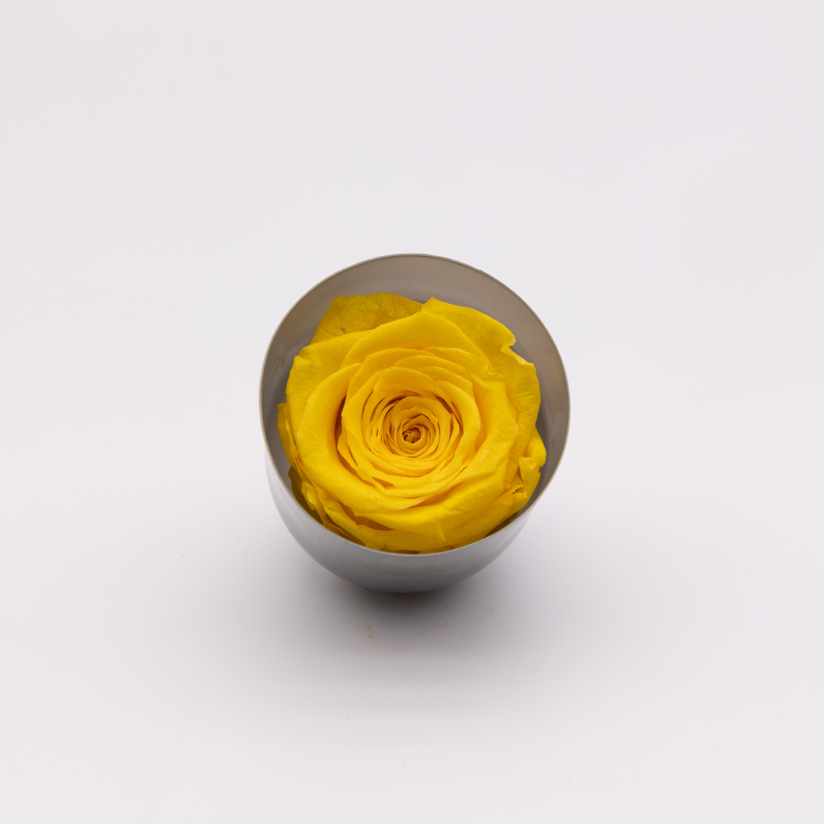 #rose éternelle# bouton jaune – Image 2