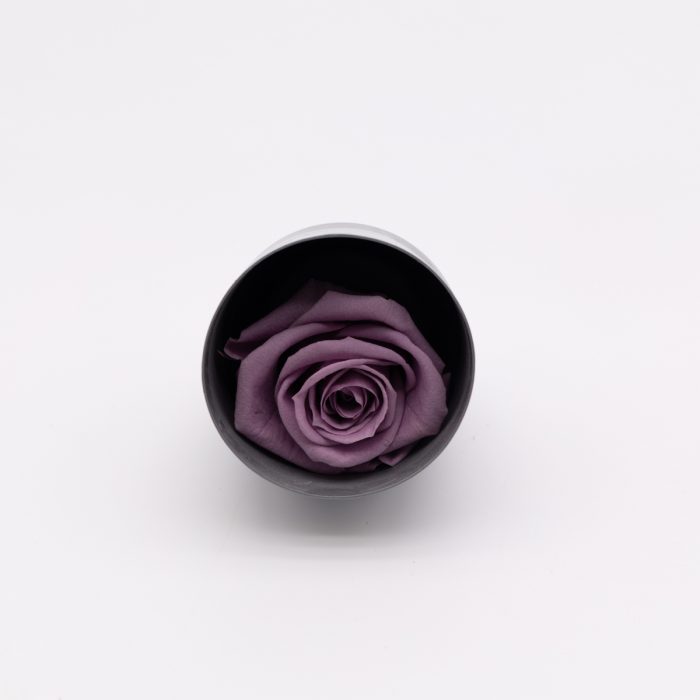 #rose éternelle# bouton lilas – Image 2