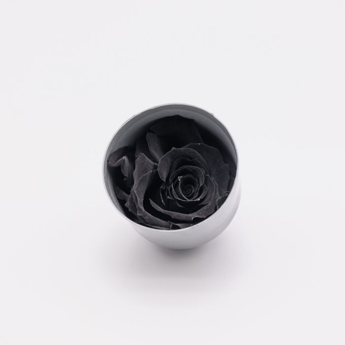 #rose éternelle# bouton noir