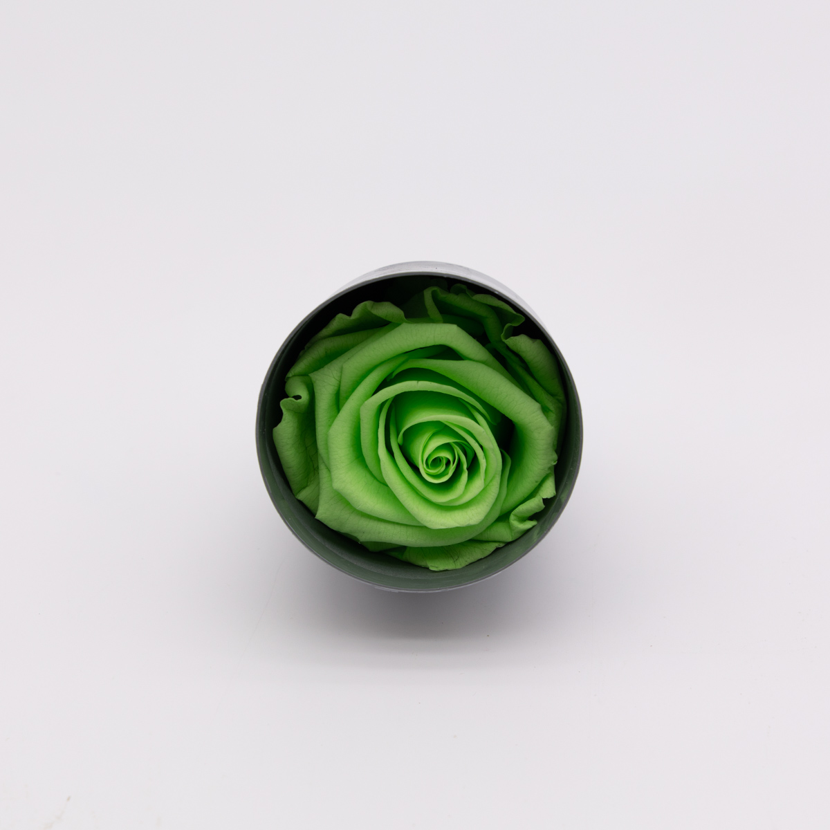 #rose éternelle# bouton vert fluo – Image 2