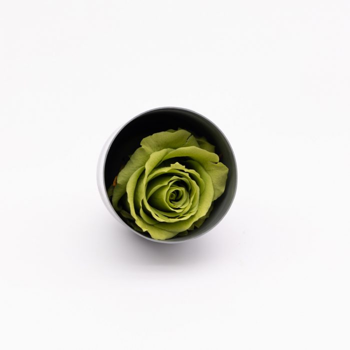 #rose éternelle# bouton vert pistache – Image 2