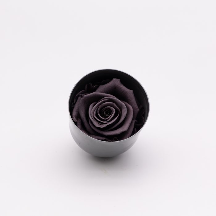 #rose éternelle# bouton violet – Image 2
