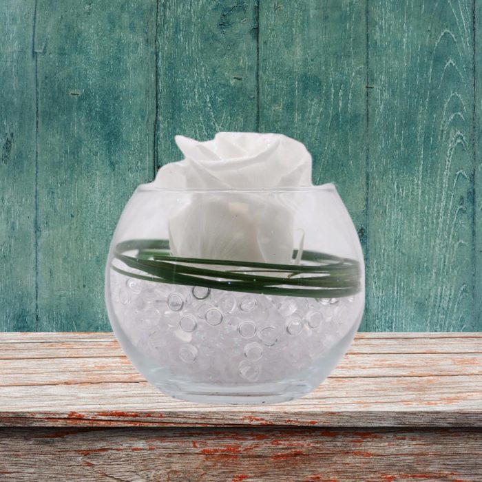 Bouton de rose éternel blanc pailleté.
