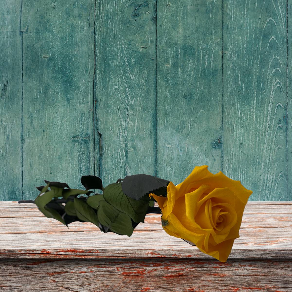 Rose stabilisée éternelle Jaune tige 50 cm – Image 2