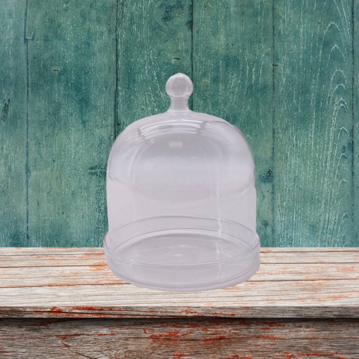 Cloche en verre avec socle