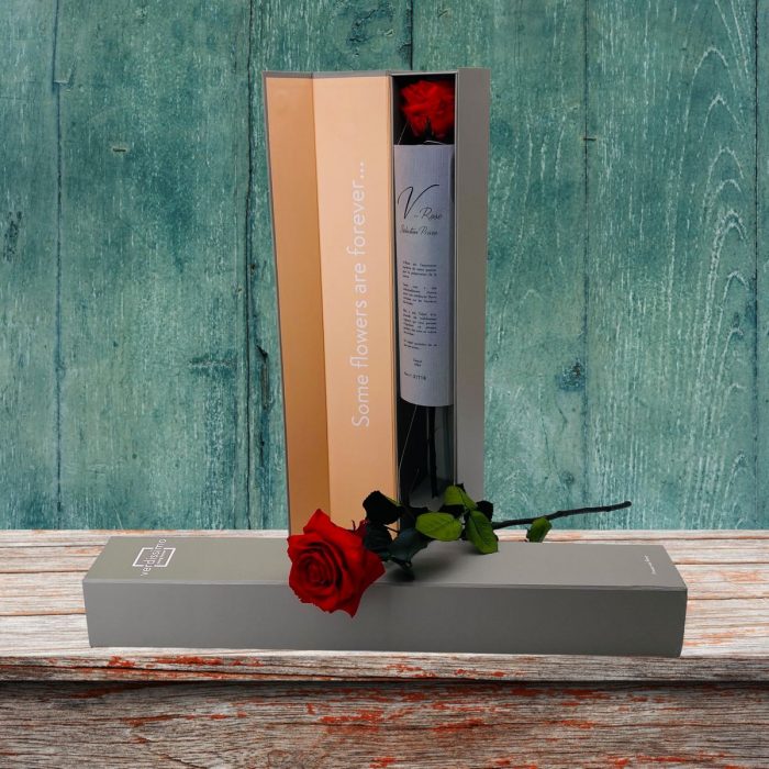 Rose éternelle stabilisée rouge XL avec boite